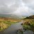 Dingle