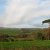 Woningen � Nieuwe woning [Bellmount Upper]